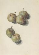 Edouard Manet Etude de cinq prunes (mk40) oil painting reproduction